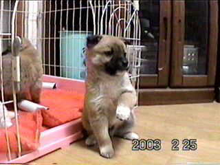 ������ł��܂��H