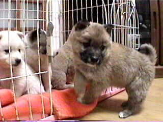 d(^-^)�l��􂩂킢���ł���B