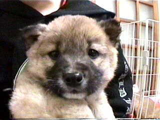 �Q�Ԃ����i���E���j