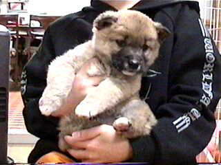 �Q�Ԃ����