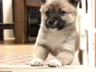 �P�Ԃ����