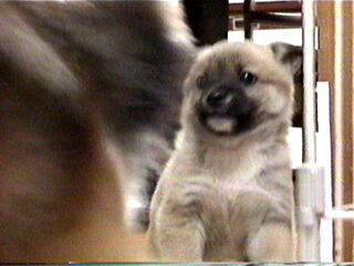 �Ƃ��Ă����C�I