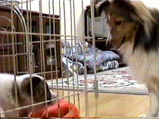 �Ȃ�Ƃ������Ƃ��E�E�E