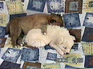 �₵���������I