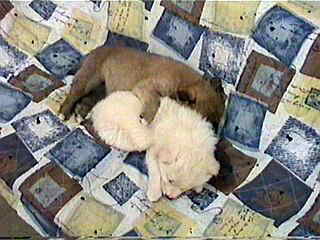 (-�B_)�B�Bo�Z