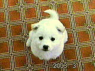 �L�b�p���I