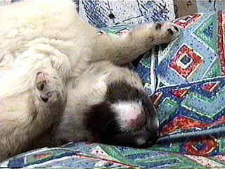 (-�B_)�B�Bo�Z