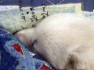 �����ۂ�B