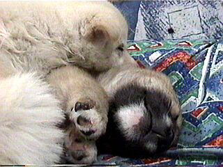 ���E���E��