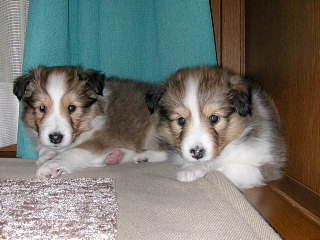 �݂Ȃ���R���j�`������