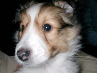 �U�E�h�b�O���H