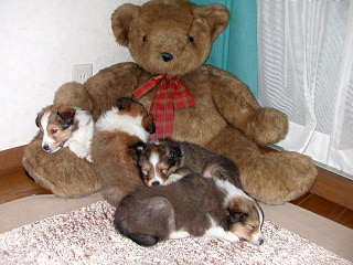 �������Ȃ��܂����