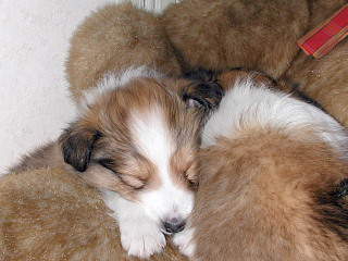 �悭���藎���Ȃ��ˁB(��).