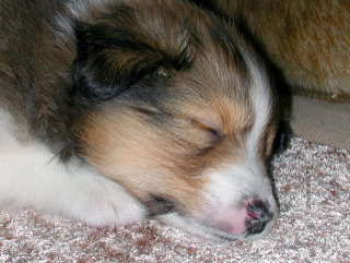 ���������S�n����