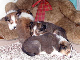 �g�����ˁ�.