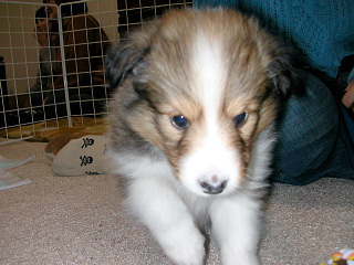 �N���܂����I