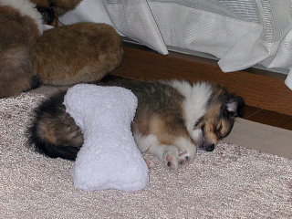 �Ƃ��Ă�����������.