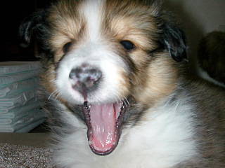 ���������т��`�B