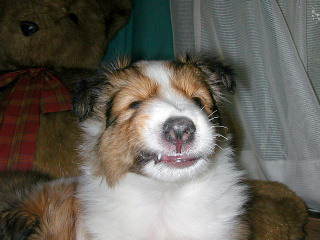 �����I�l�����񂾂���B(��)