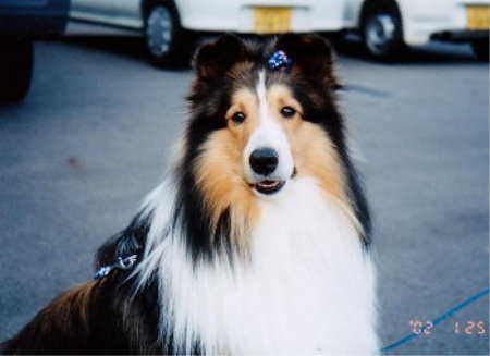 �A�b�V������