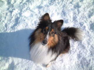 �����܂��I