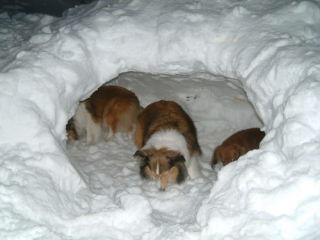 �����܂��I