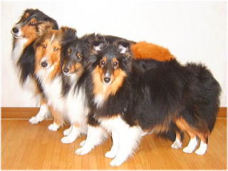 �����܂��I