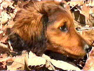 �����ł����