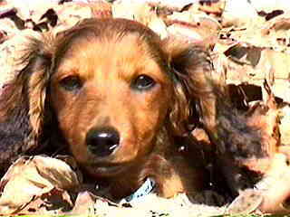 �n���T���ł���I