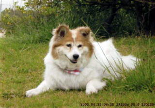 �n�i�R�����