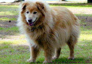 ���ܑ�����