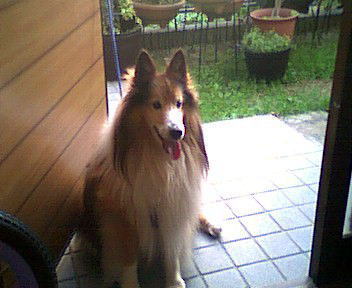 �_���f�B�[����B��������Ⴂ�I