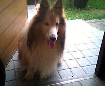 ���������������B�_���f�B�[����