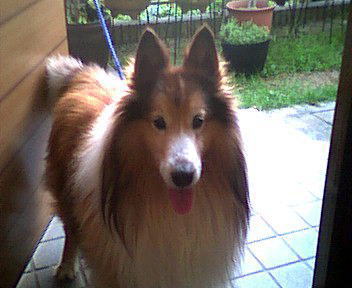 �����܂��B�_���f�B�[����