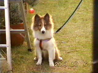 �����܂��A���񂭂��