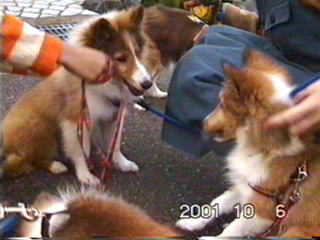 ���v���Ԃ�ł�(��)