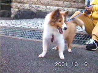 �r����A�����͂ǂ������肪�Ƃ��B