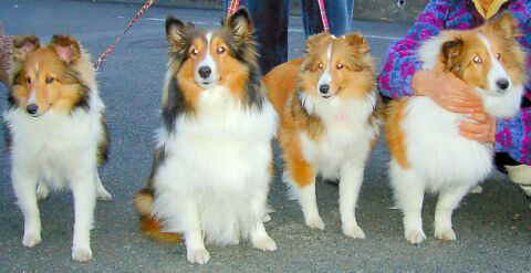 �݂�ȂŁA��`����