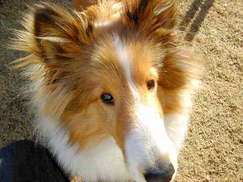 �i�h�m�Ł`����