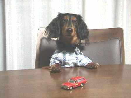 �{�N�̂��C�ɓ���I(�P�O�P)