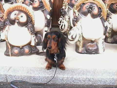 �����炽�ʂ��P�A���ʂ��Q�A�����낤(��)