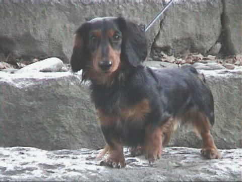 �͂��|�[�Y�I