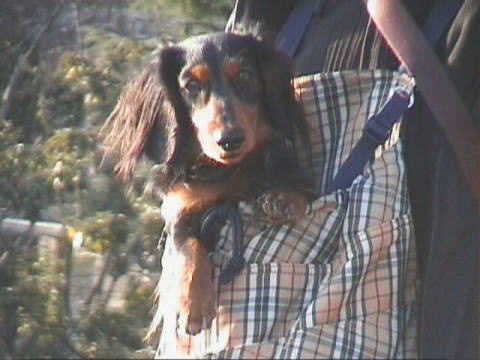 ���U���`��