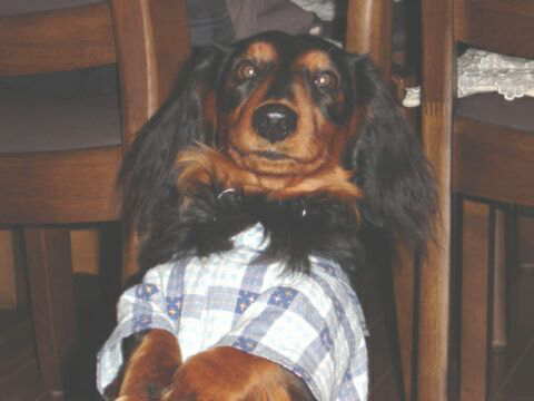 �����낤���񂩂�N���I�؂������