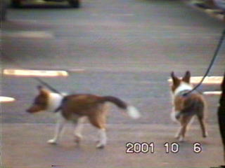 ���̓��I���A�E�����I������B