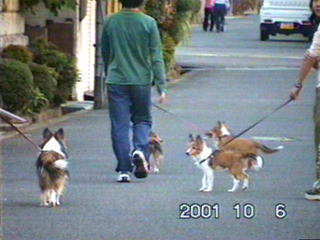 ���������񌩂Ă�́�