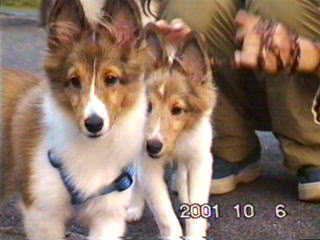 �s���s���`��