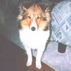 ����ɂ�������