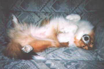 ���났�����H