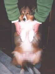 �͂�������������